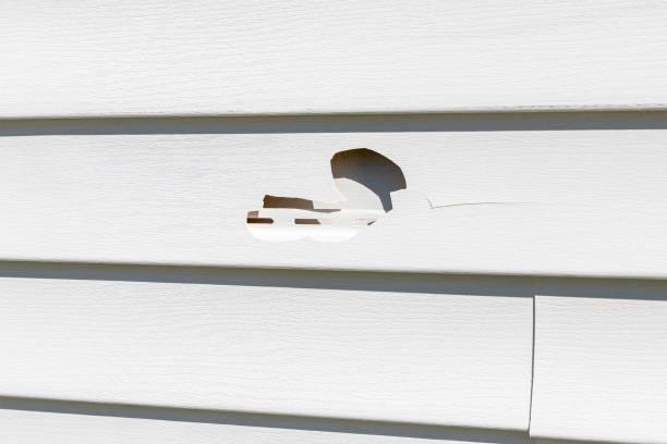 Best Foreclosure Cleanout  in Wilton, IA